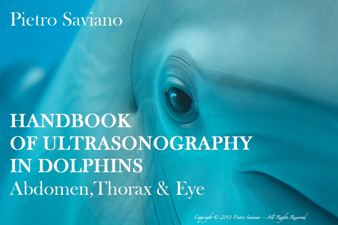 Handbook of Ultrasonography in Dolphins Abdomen, Thorax & Eye